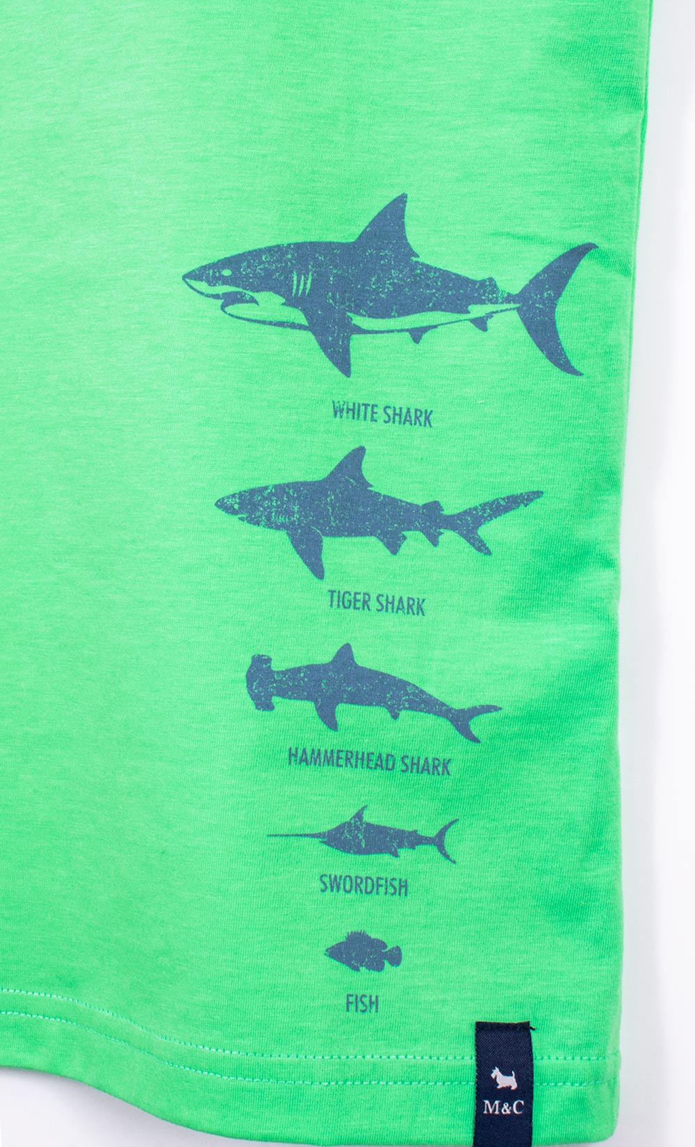 Remera s/m jr shark mimo — imagen 2